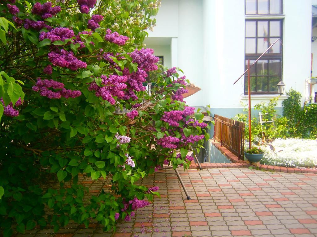 Ringaudai Nemunas Tour Residence المظهر الخارجي الصورة